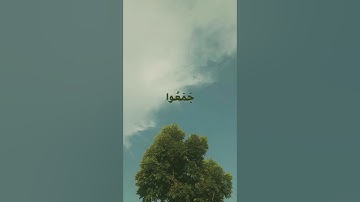 تلاوة بصوت القارئ عمر ضياء الدين بدون مؤثرات