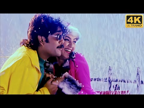 Bombay Madras Delhi 4k Video Song || Rakshakudu || Nagarjuna, Sushmita Sen || A R Rahman 