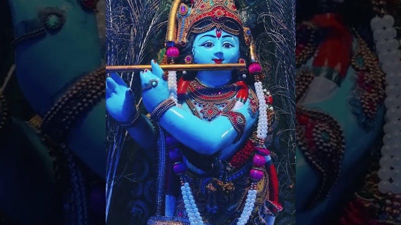 കൃഷ്ണാ ഗുരുവായൂരപ്പാ🙏 L ഗുരുവായൂരപ്പാ ഇതുവരെ നിന്നോട്...L Guruvayurappa Ithuvare Ninnodu L 4K Video.