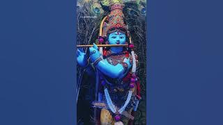 കൃഷ്ണാ ഗുരുവായൂരപ്പാ🙏 l ഗുരുവായൂരപ്പാ ഇതുവരെ നിന്നോട്...l Guruvayurappa ithuvare ninnodu l 4K video.