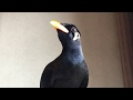 すがちゃん:電話かけれたよ!