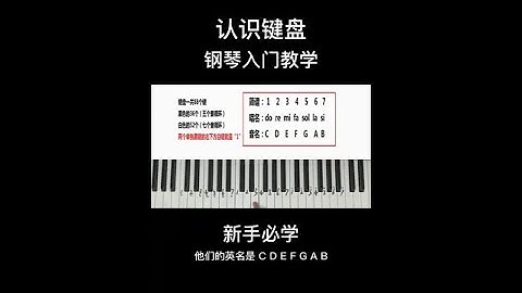 钢琴入门第一课，认识钢琴键盘