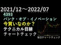2021/12~2022/7 4393 バンク・オブ・イノベーション今買いなのか?【日本株チャートチェック】