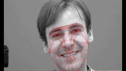 Active Appearance Models (AAM) SIC Talking Face Fitting