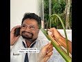 School ki ladai me MAMA ko bula liya 💀🤣🔥#schoolfunnyvideos #mamabhanja #shortscomedy