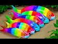 Unbelievable Amazing Stop Motion Cooking Fishing | Colorful Koi Fish Trap Eel Underground Primitive