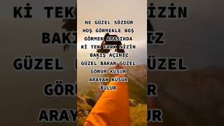 Güzel Bakan Güzel Görür. Kusur Arayan Kusur Bulur. Resimi