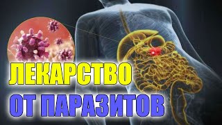 ✔ СРЕДСТВО ОТ ГЛИСТОВ ДЛЯ РЕБЕНКА 2 ГОДА 💡 КАК ПОТРАВИТЬ ПАРАЗИТОВ В ОРГАНИЗМЕ