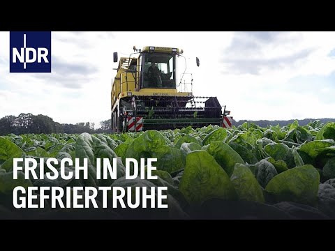 Achtung, Messerstecher! | ZDF.reportage