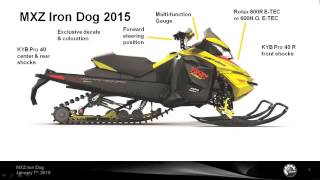 FITS Ski-Doo Iron dog 800 600 Mxz renegade expedition black 3/16 rivets 