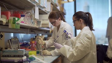 Introduction to Molecular Imaging in Nanotechnology and Theranostics: MINT