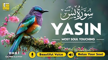 Surat Yasin (Yaseen) سورة يس ✦ Calm and Clear Voice ✦ Islamic Sleep Healing