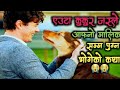 A dog's way home Movie Explained In Nepali मननै छुने काहनी (नेपालीमा) | Yatra