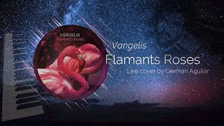 Flamants Roses Vangelis Live Cover By Germán Aguilar