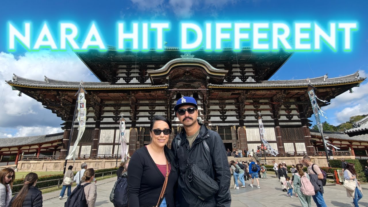 Wild Deer Took Over This Japanese City Nara