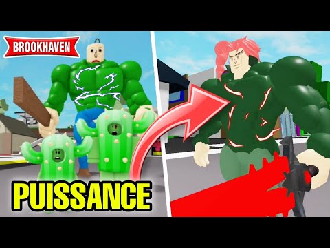 CACTUS ATTAQUE UNE PUISSANCE UTLTIME (BATAILLE INCROYABLE) SUR BROOKHAVEN ! ROBLOX RP