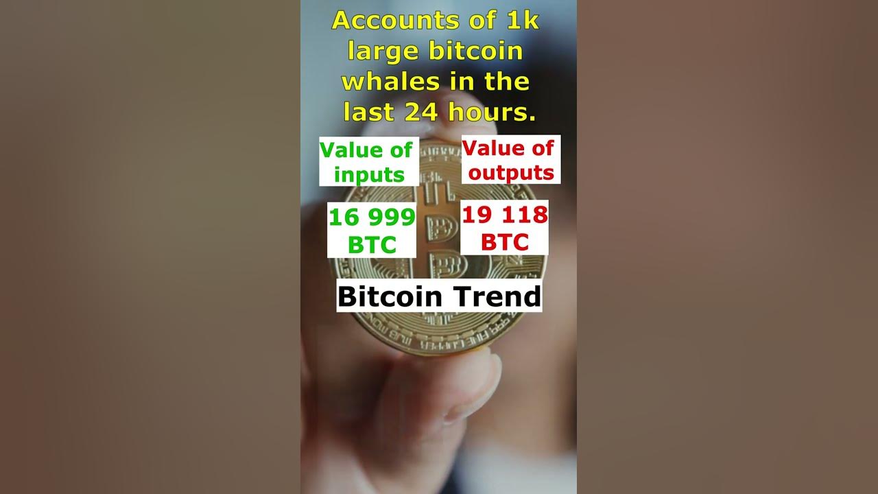 Trend based on the turnover of bitcoin whales 1K largest cryptocurrency wallets 10/27/2022 btc