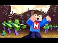 Minecraft house and zombie attack