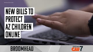 Arizona state rep discusses doing more to protect children online