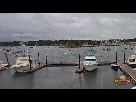 Marina, McFarland Island Live Stream