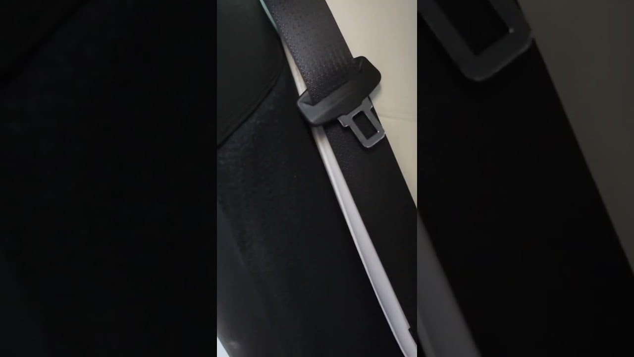 TOPABYTE White Leather Cleaner for my Tesla seats! Part 9 