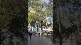 Video 20251006 153223