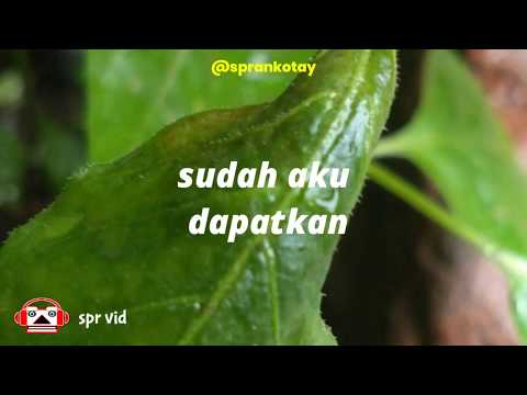 story/status-wa-lagu-(lagu-selow-versi-reggae)-lirik-lagu-selow