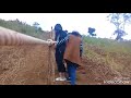 Chư Đăng Ya- lễ hội hoa dã quỳ ....