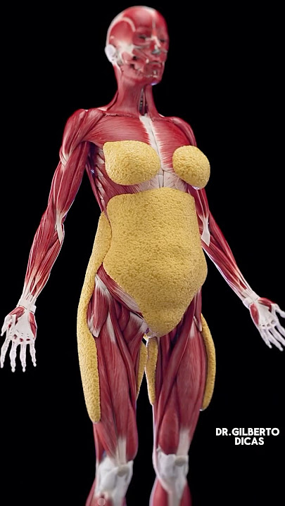 Oque acontece se tomar moringa todos os dias?