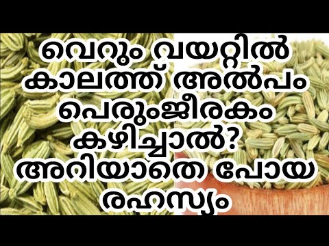 വെറും വയറ്റിൽ കാലത്ത് അൽപം പെരുംജീരകം കഴിച്ചാൽ? അറിയാതെ പോയ രഹസ്യം /Benefits of fennel seeds