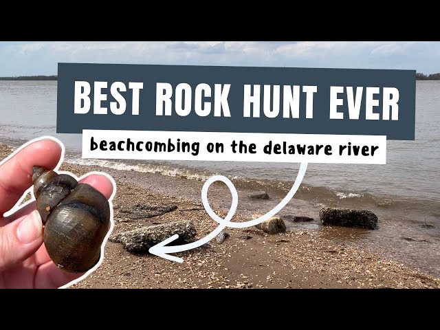 BEST ROCK HUNT EVER | Rockhounding and Beachcombing on the Delaware River class=