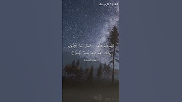 سورة التوبة /حالات واتس/الشيخ فارس عباد