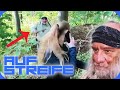 Mia wird von verrücktem Mann im Wald verfolgt! | Auf Streife | SAT.1