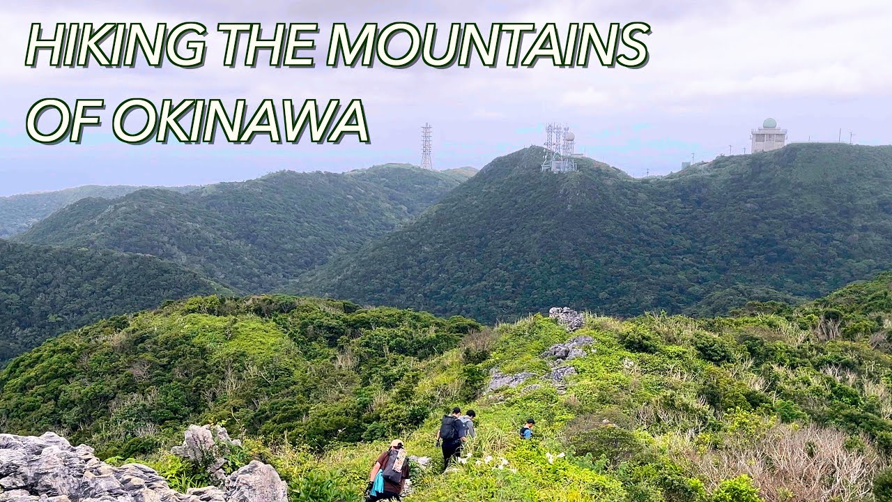 【Okinawa hiking】Mt. Katsuu - Mt. Furushi - Mt. Awa - Mt. Sankaku　2024.5