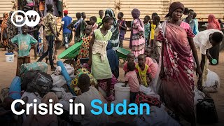 Full 3.6 million malnourished children: Aid organizations warn of famine in Sudan | DW News Guide