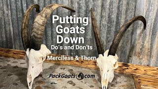 Putting Goats Down Sharing Do's and Don'ts with Merciless and Thorn's Skulls