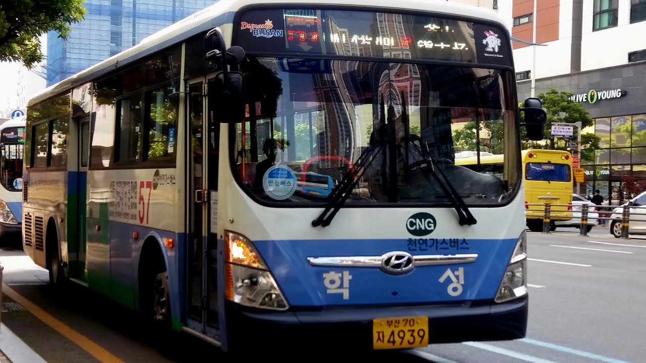 대차된 부산버스사진 모음집 