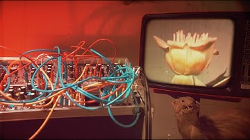 Passing time_generative modular ambient // paco maddalena