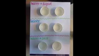 Diffusion and Osmosis _ Lab3