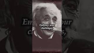 Albert Einstein - Opportunity Perspective