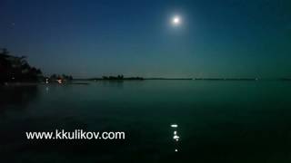 Night. The moon over the sea and reflection in water Resimi