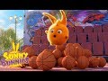 Cartoons for Children | SUNNY BUNNIES - SPORTS DAY | Funny Cartoons For Children