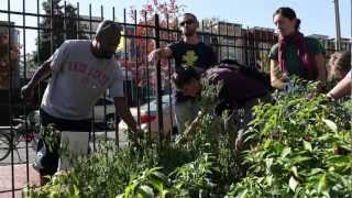 BicycleSPACE DC School Garden Tour