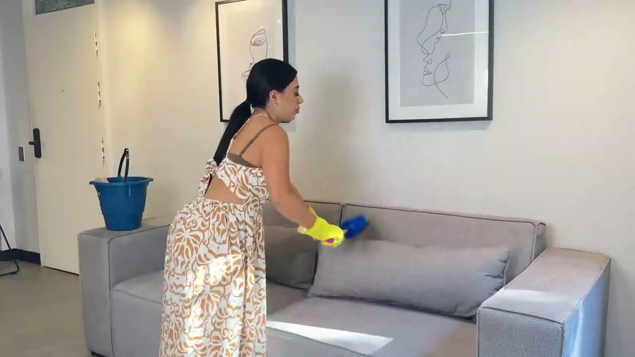 COUCH CLEANING LIVING ROOM