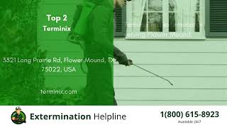 Top 3 Exterminators in Flower Mound