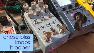 Chase Bliss Blooper: 5 Applications