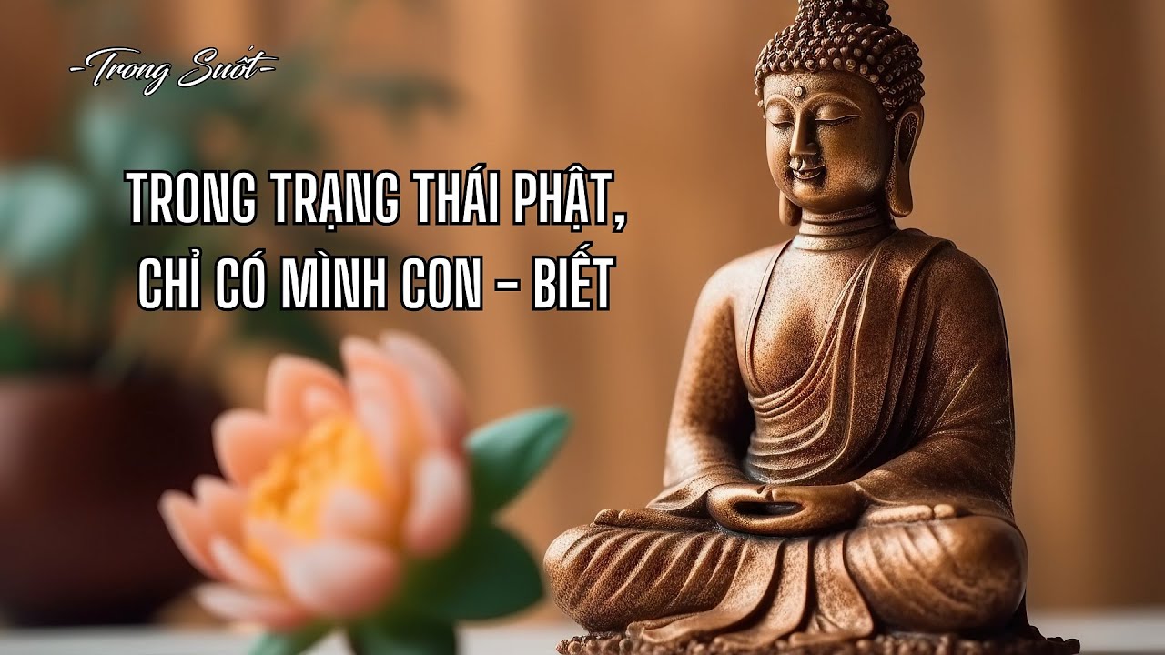 TRONG TRẠNG THÁI PHẬT, CHỈ CÓ… – TS