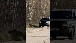 Подвеска Tein Damper Sport 4X4 На Tank 300