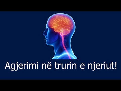 Video: 9 Mite Për Trurin E Njeriut