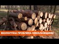 На Николаевщине меньше всего лесов в Украине - экология под угрозой